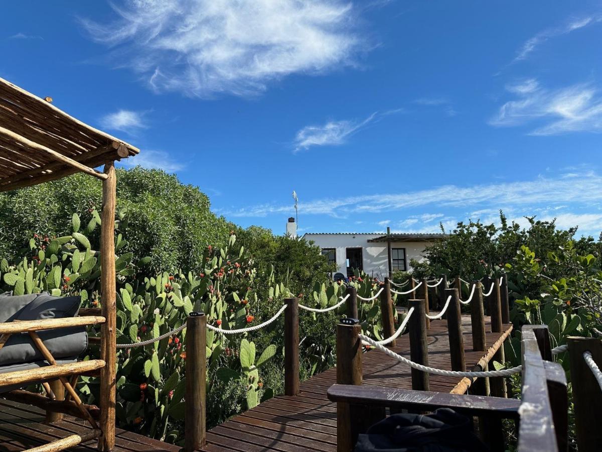 Ostrich Cottage At Les Wings Private Game Farm Groot-Jongensfontein Екстер'єр фото