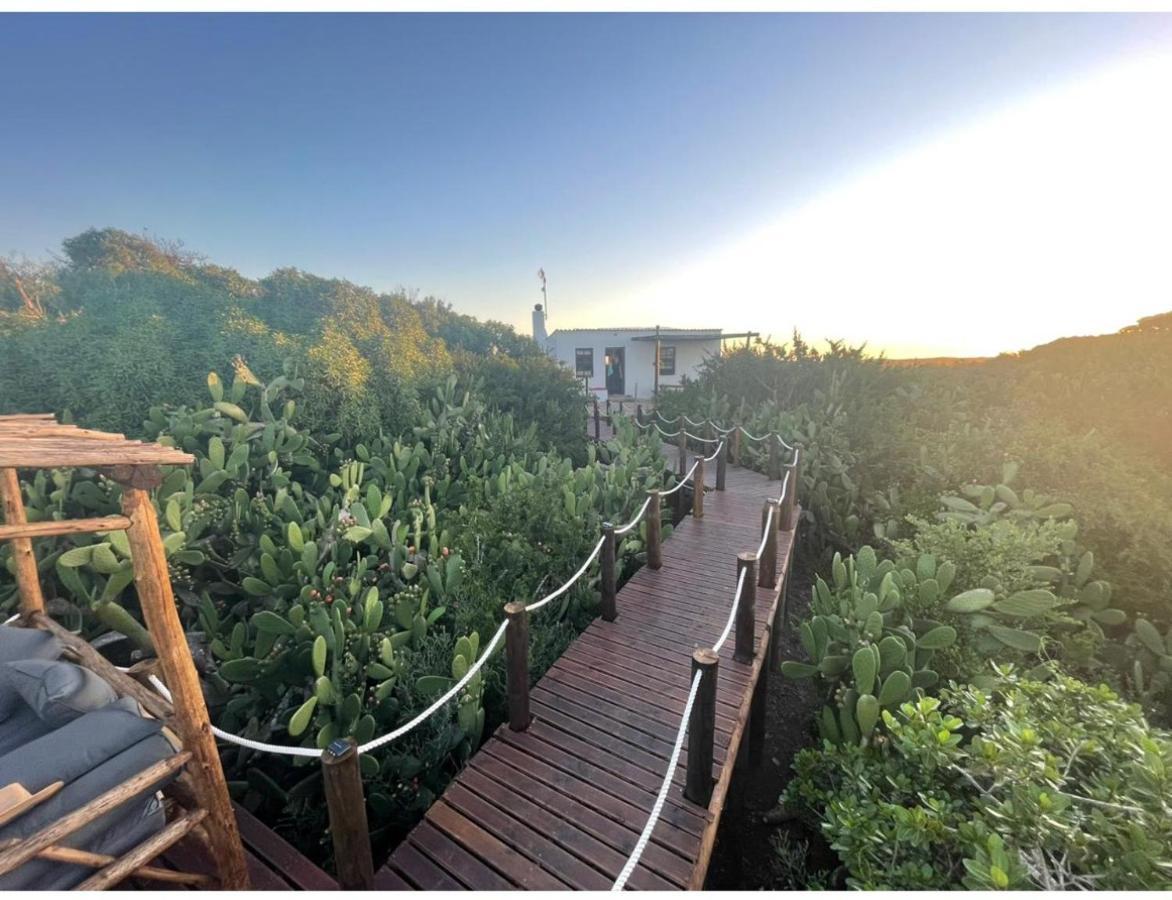Ostrich Cottage At Les Wings Private Game Farm Groot-Jongensfontein Екстер'єр фото